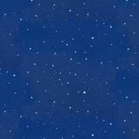 ttDONA-CD4842 NIGHT